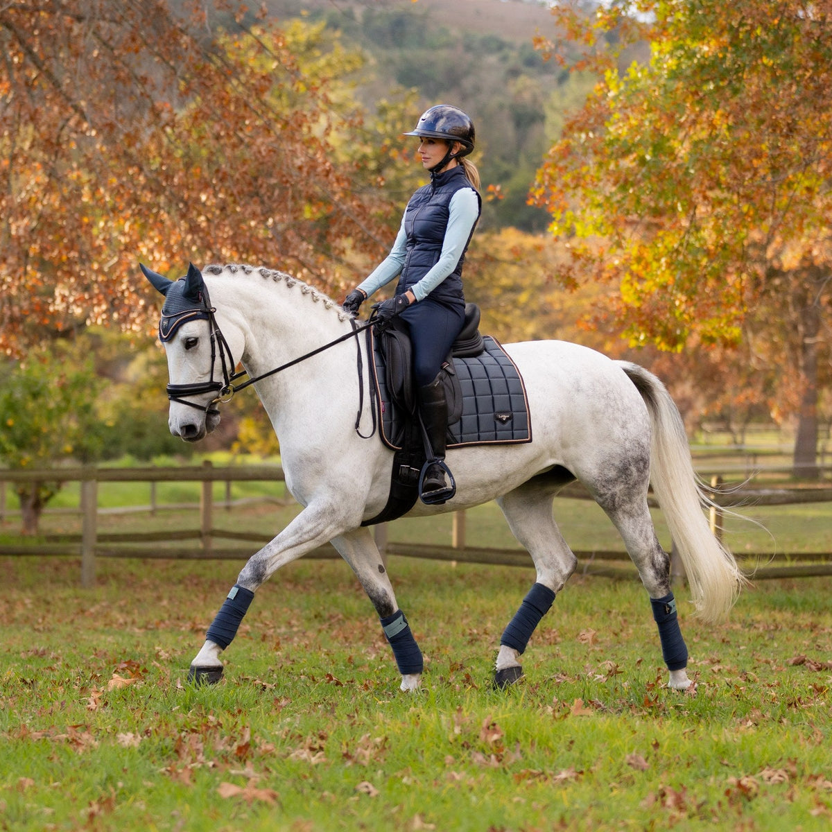 LeMieux Loire Classic Dressage Square Petrol lifestyle