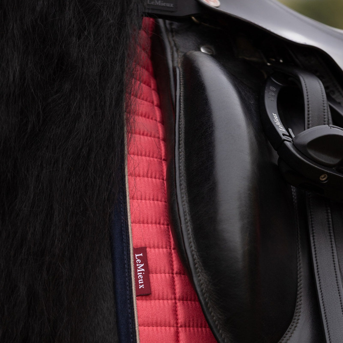 LeMieux Suede Dressage Square Cranberry lifestyle