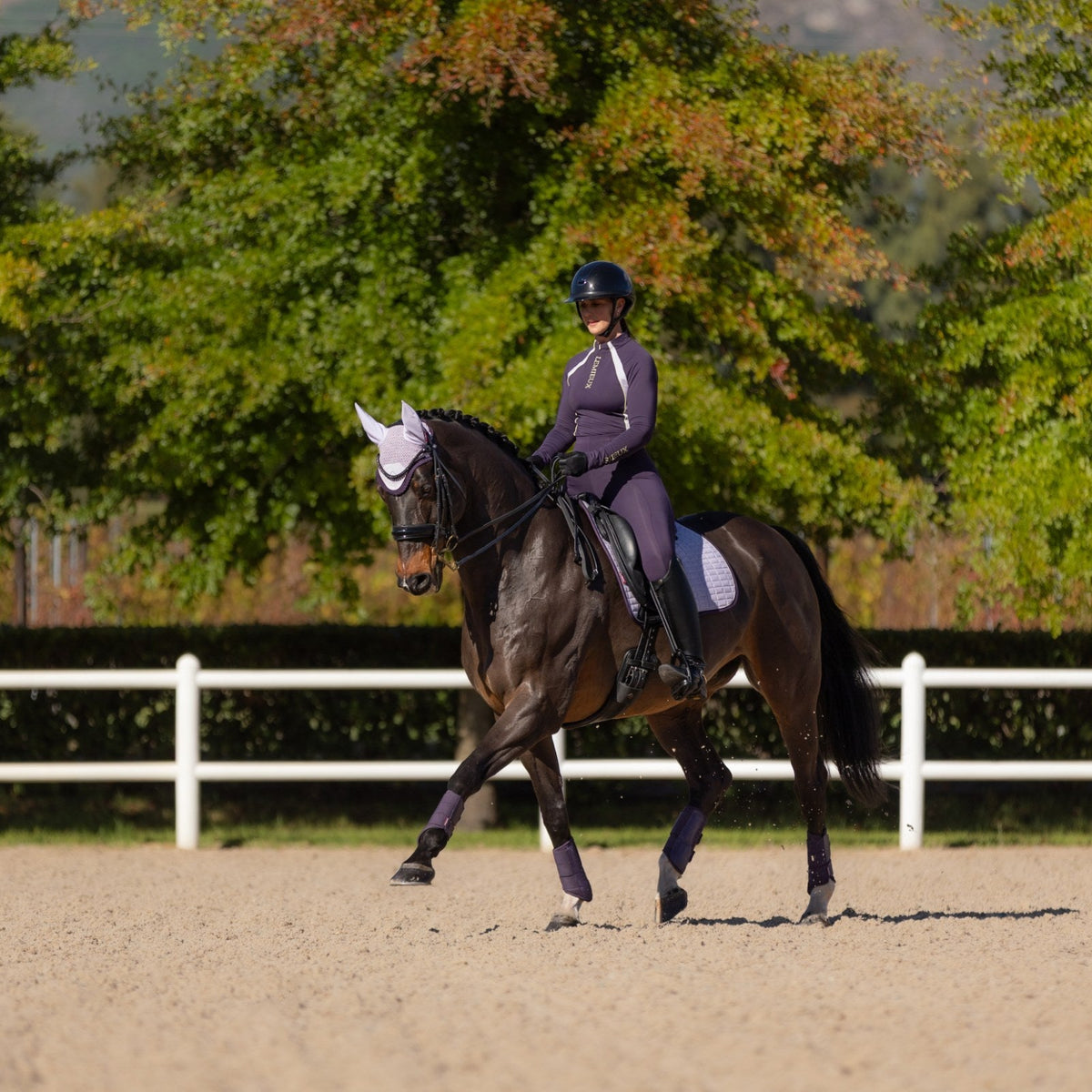 LeMieux Suede Dressage Square Lilac lifestyle