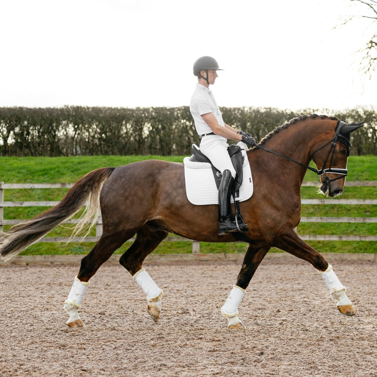 LeMieux Suede Dressage Square White lifestyle