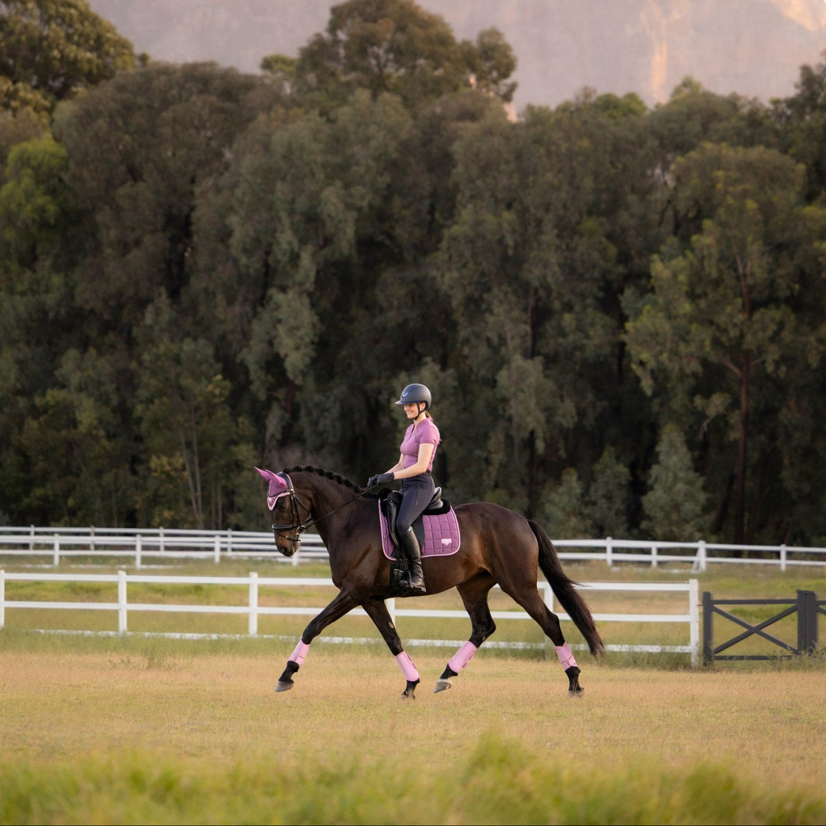 LeMieux Loire Classic Dressage Square Mallow lifestyle