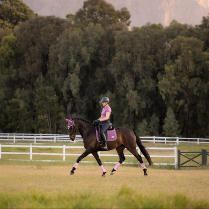 LeMieux Loire Classic Dressage Square Mallow lifestyle