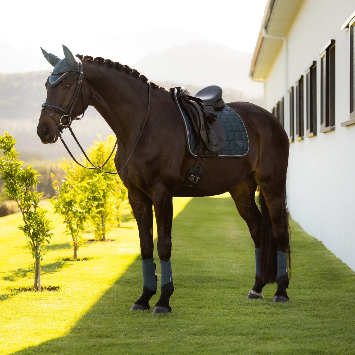 LeMieux Loire Classic Dressage Square Jungle lifestyle