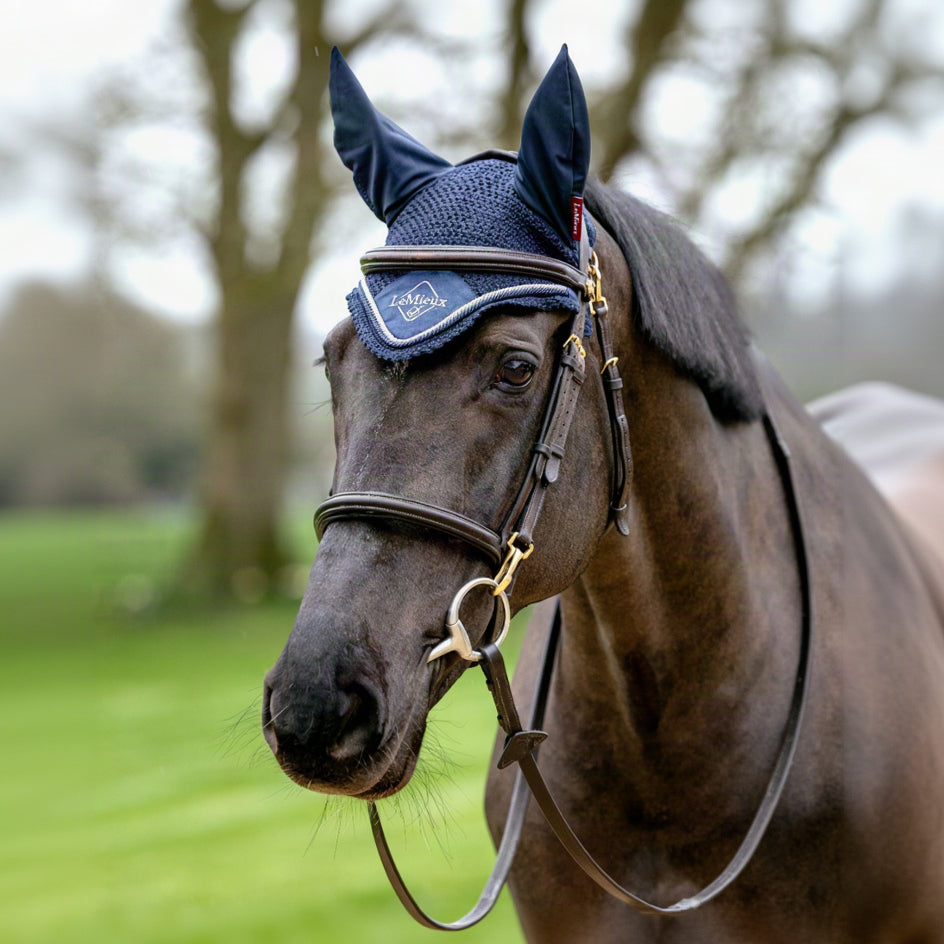 LeMieux Classic Fly Hood Navy