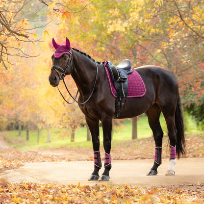 LeMieux Suede Dressage Square Blackberry lifestyle