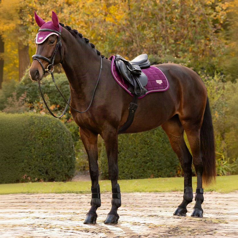 LeMieux Loire Classic Close Contact Square Blackberry lifestyle