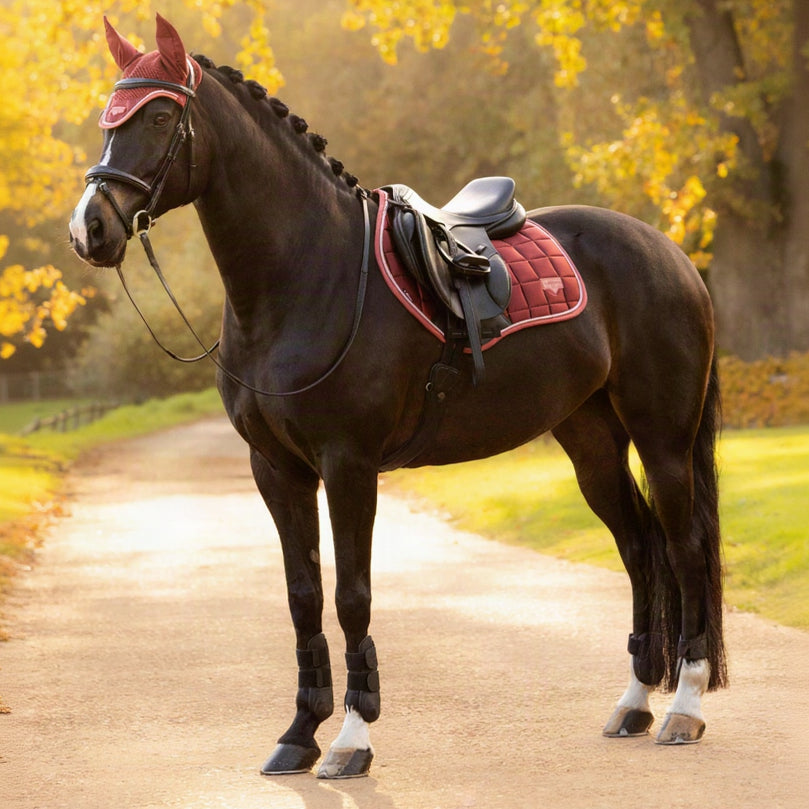 LeMieux Loire Classic Close Contact Square Russet lifestyle
