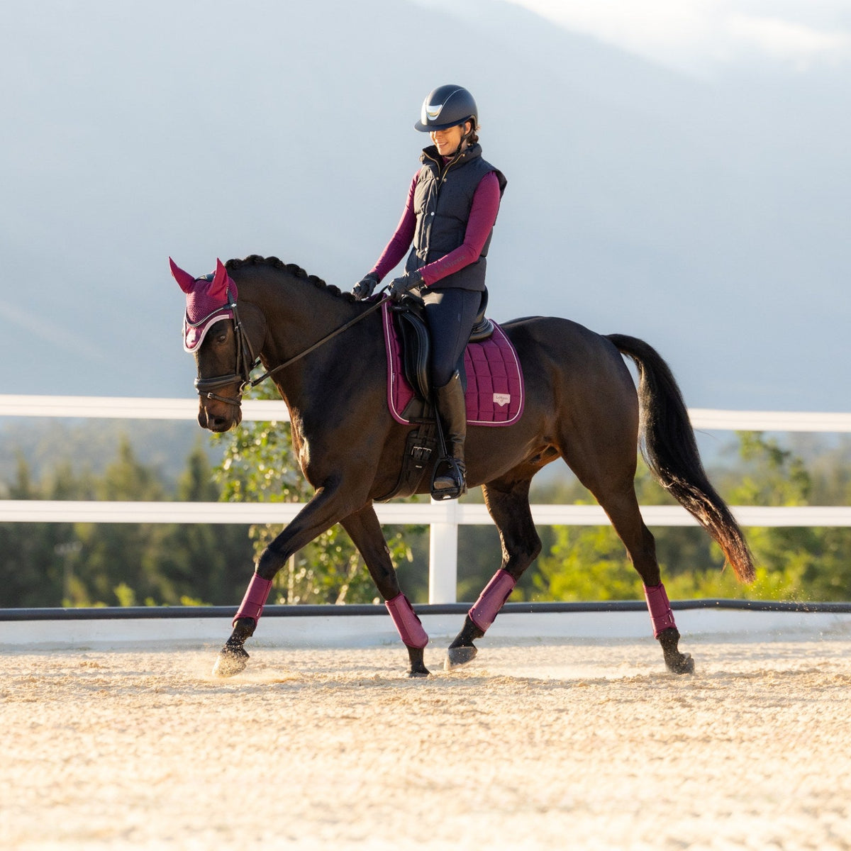 LeMieux Loire Classic Dressage Square Blackberry lifestyle