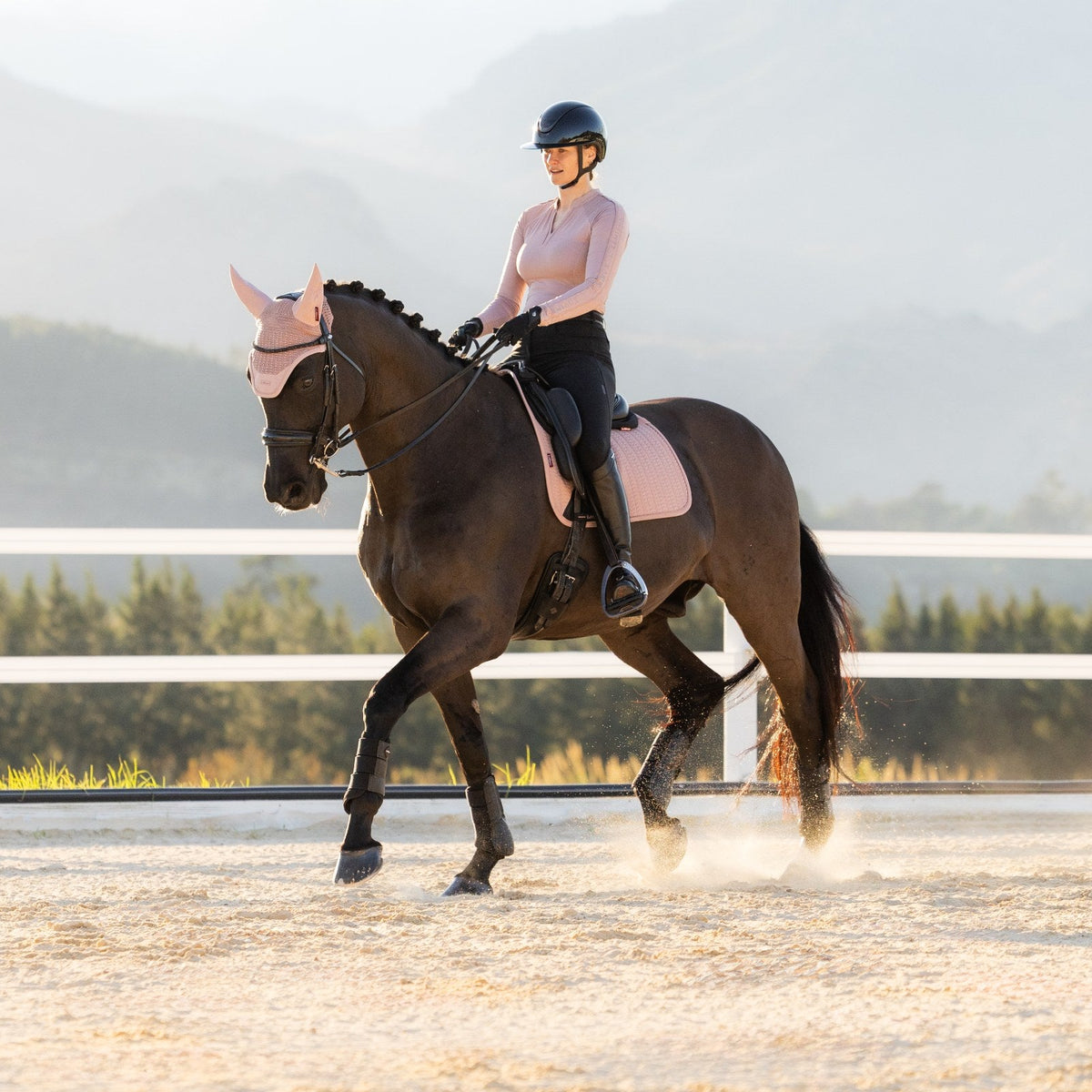 LeMieux Essence Dressage Square Wild Rose lifestyle