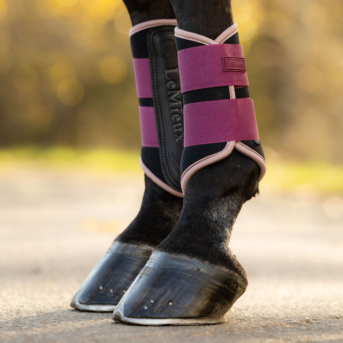 LeMieux Air-Tek Grafter Brushing Boots Blackberry lifestyle