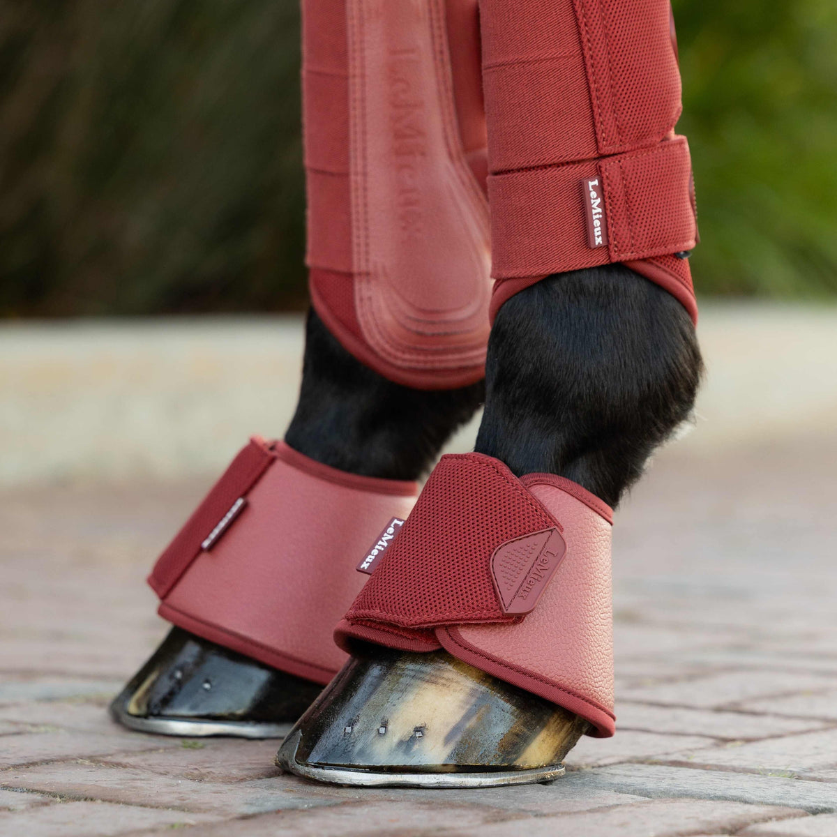 LeMieux Arika Over Reach Boots Russet lifestyle