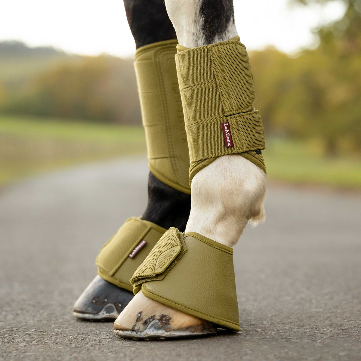 LeMieux Arika Over Reach Boots Gooseberry lifestyle