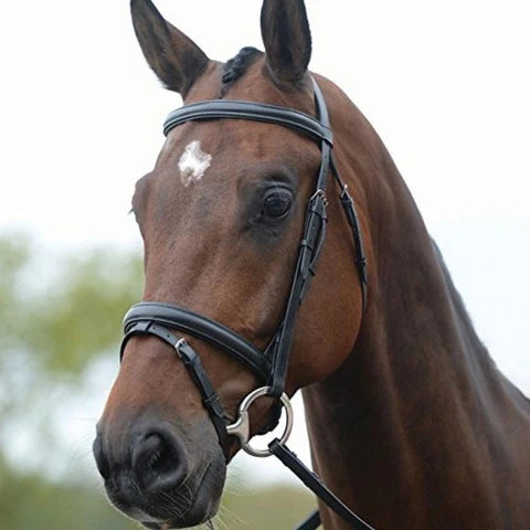 Kincade Flash Bridle III - Black