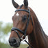 Kincade Flash Bridle III - Black