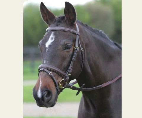 Kincade Flash Bridle III - Brown