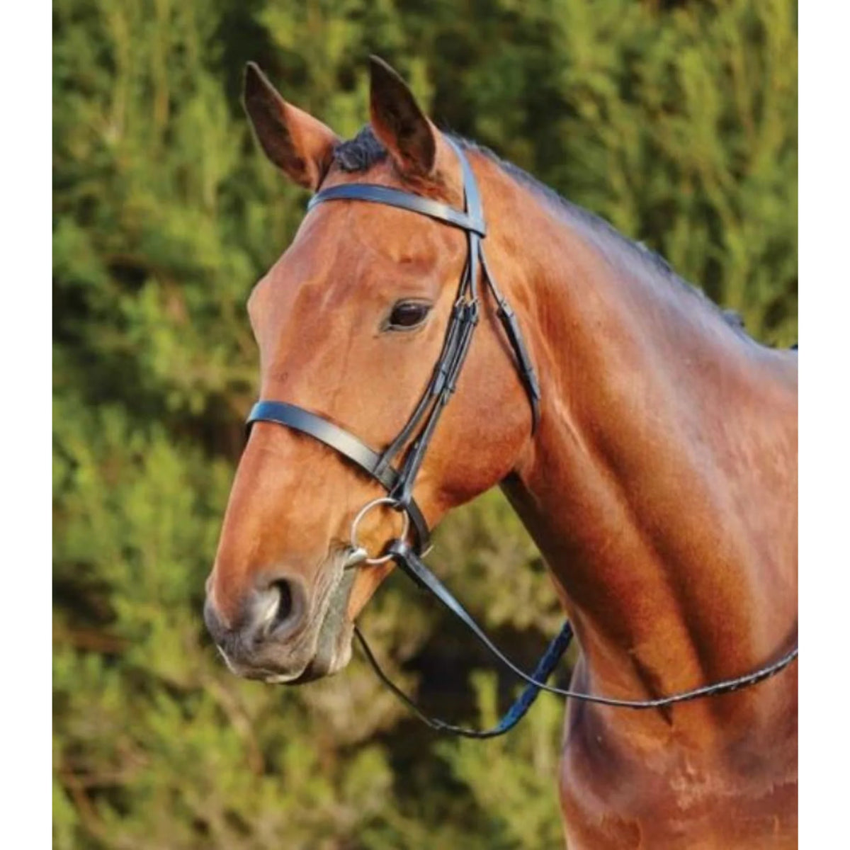 Kincade Flat Cavesson II Bridle - Black