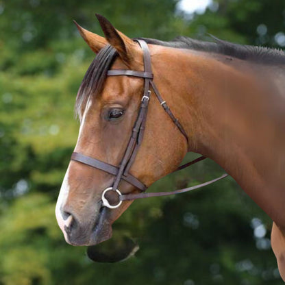 Kincade Flat Cavesson II Bridle - Brown