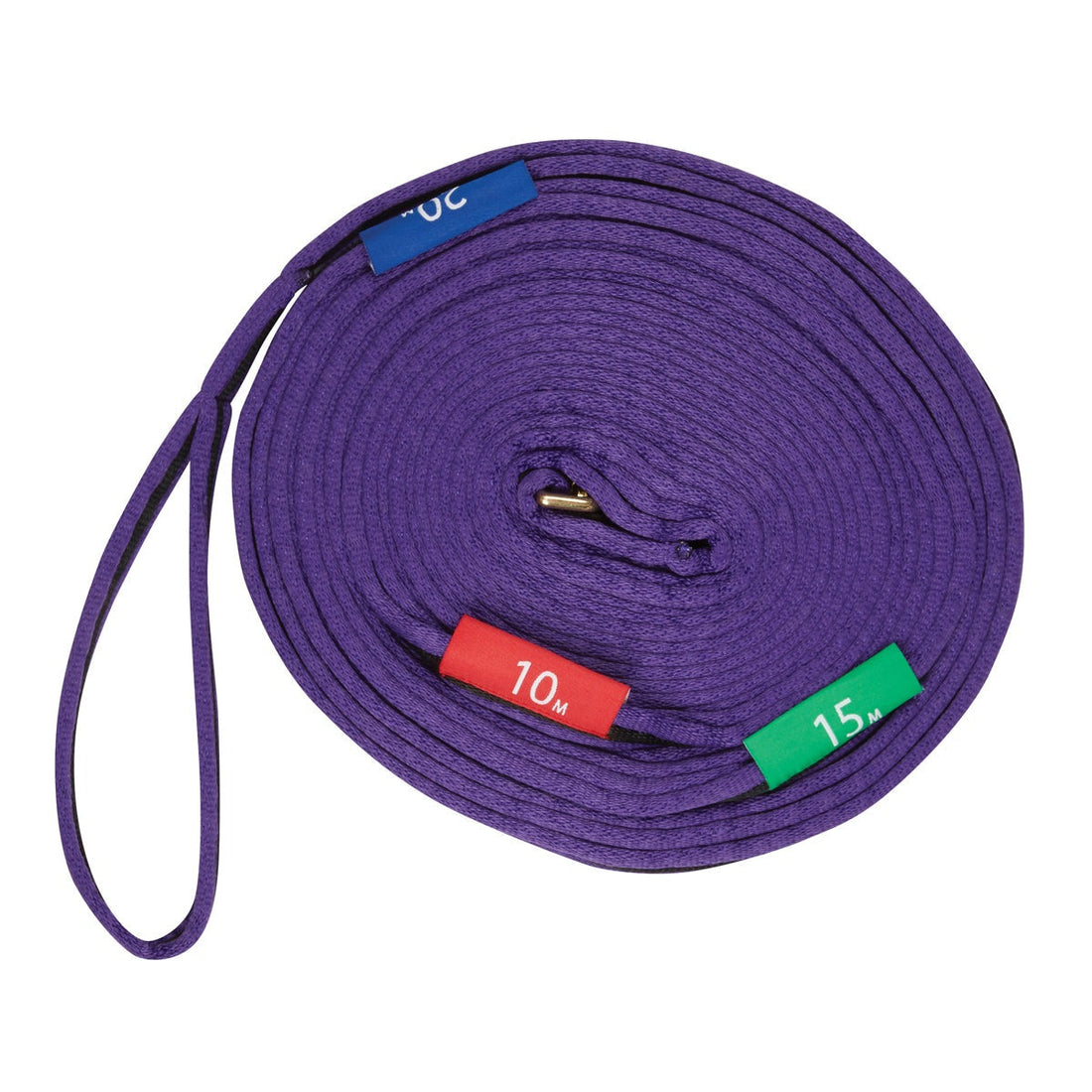 Kincade Lunge Line with Circle Markers - 2