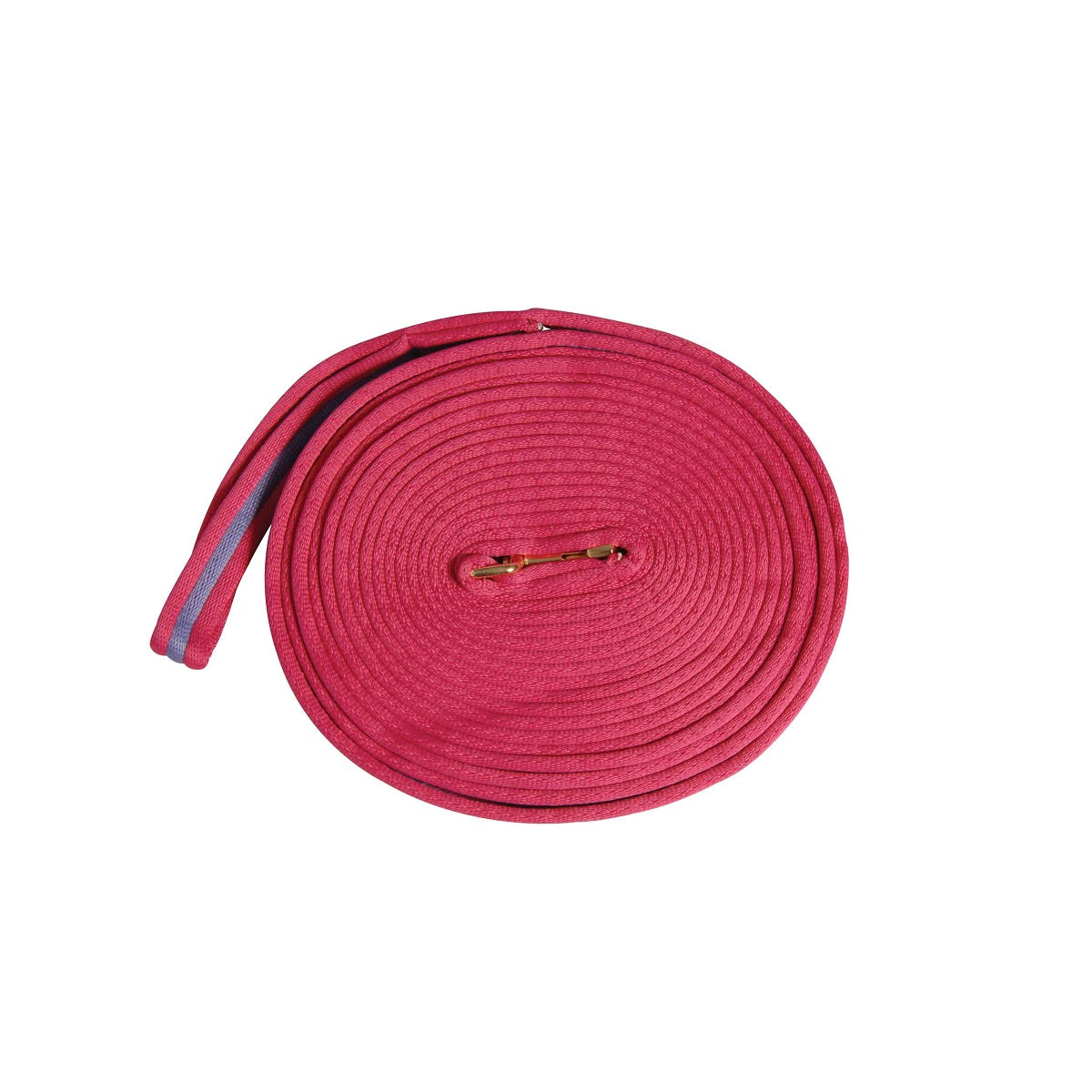 Kincade Two Tone Padded Lunging Rein - 2