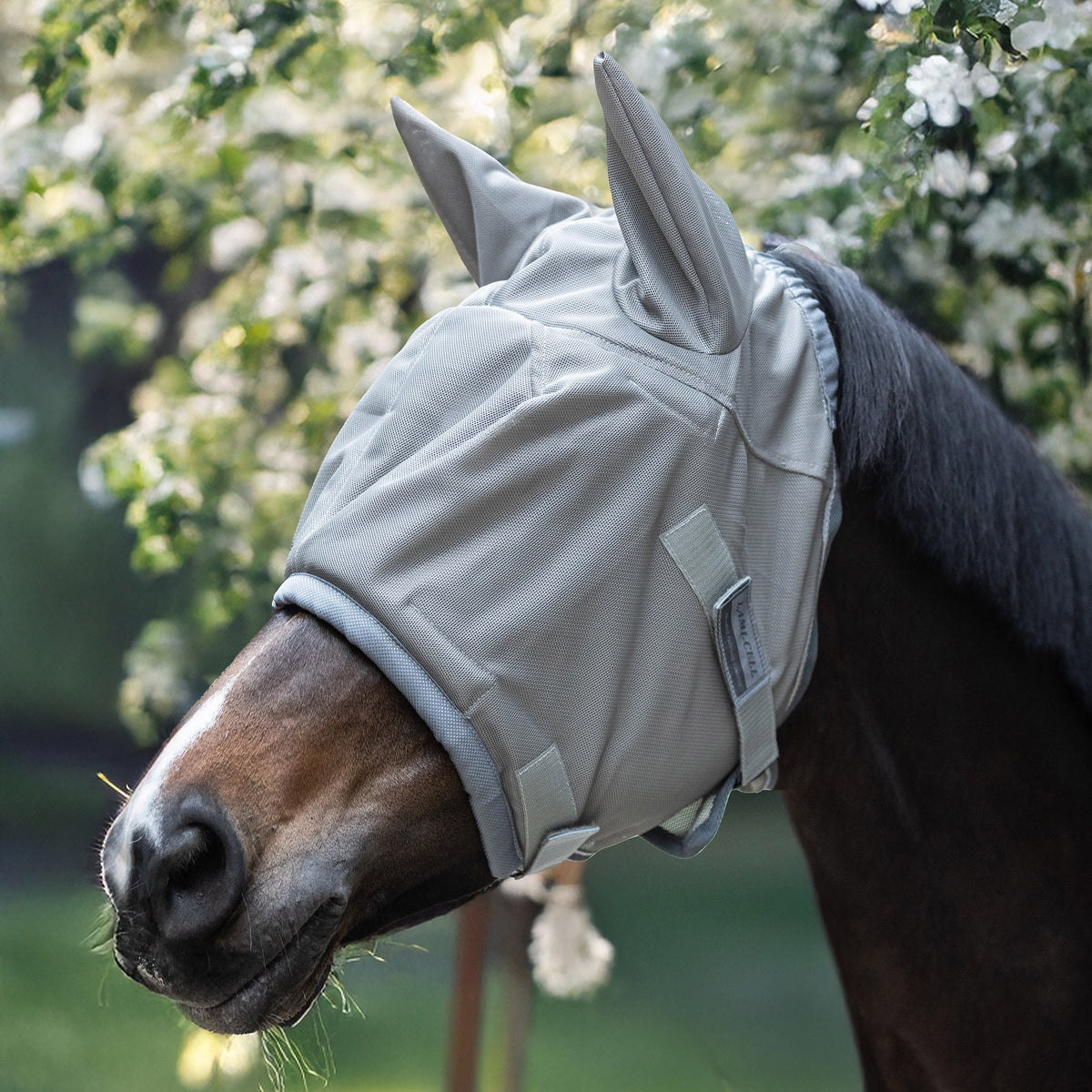 Lami-Cell Insect Master Fly Mask - 2