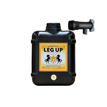Leg Up - Performance Oil - 3