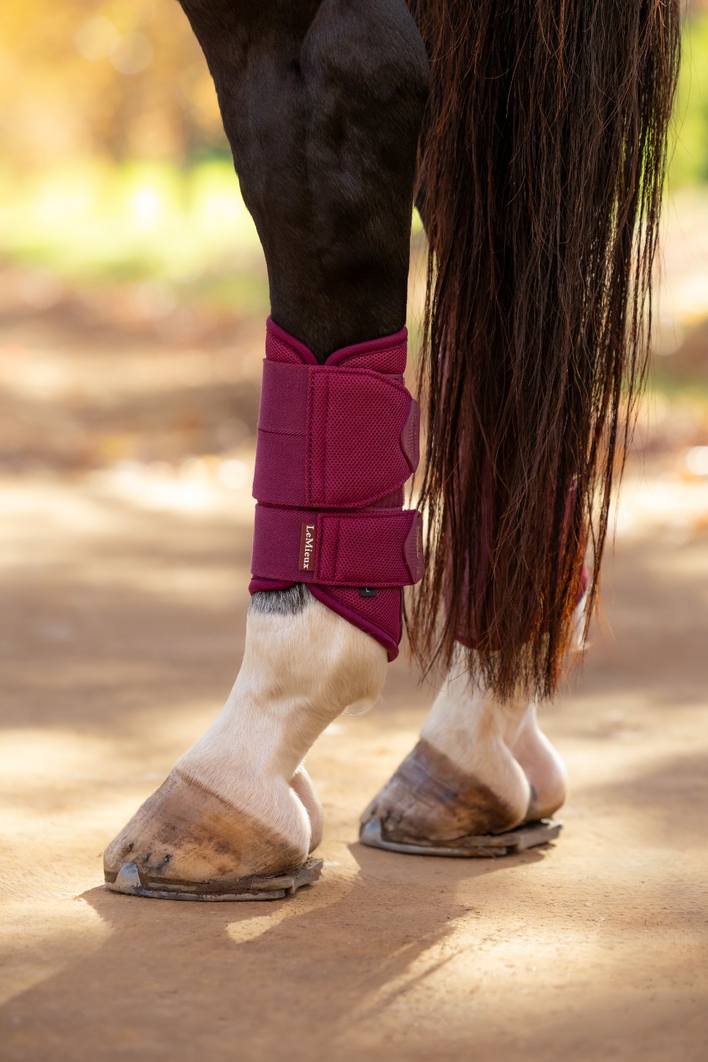 Horse wearing LeMieux Arika mesh brushing boots in Blackberry