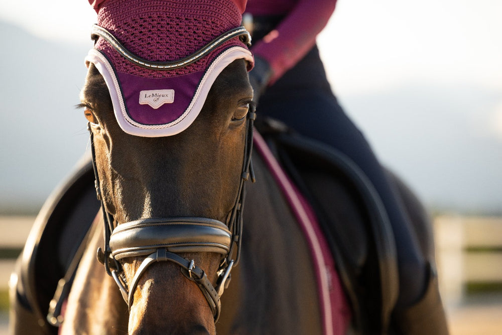Horse wearing a LeMieux Loire fly hood in Blackberry