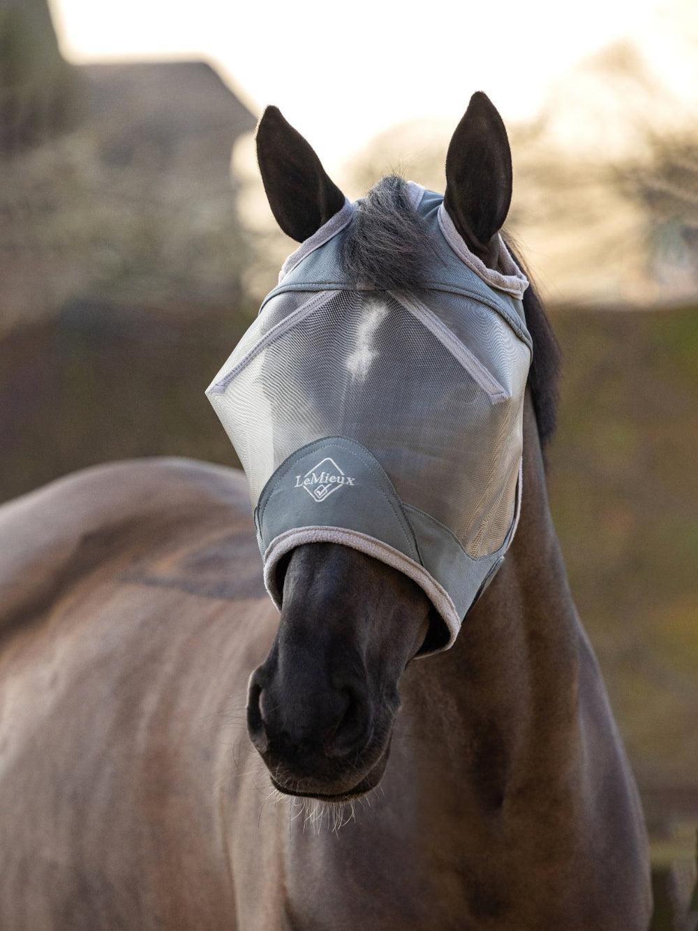 Horse wearing a LeMieux ArmourShield Pro fly mask in Grey