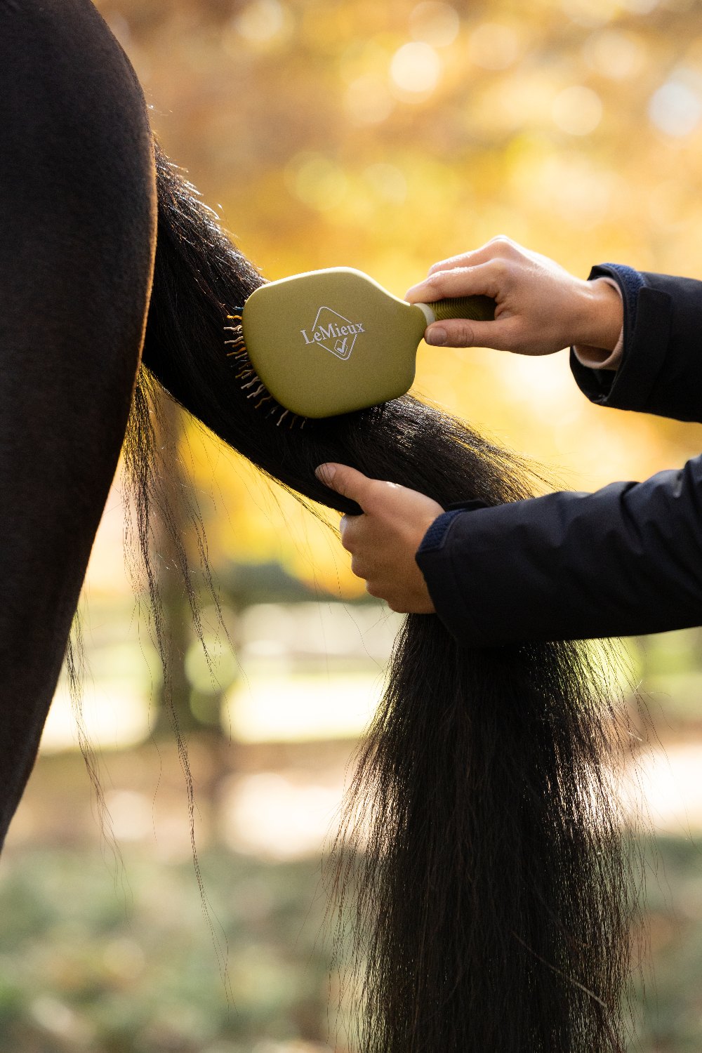 Brushing a horse's tail with a LeMieux Tangle Tidy in Gooseberry