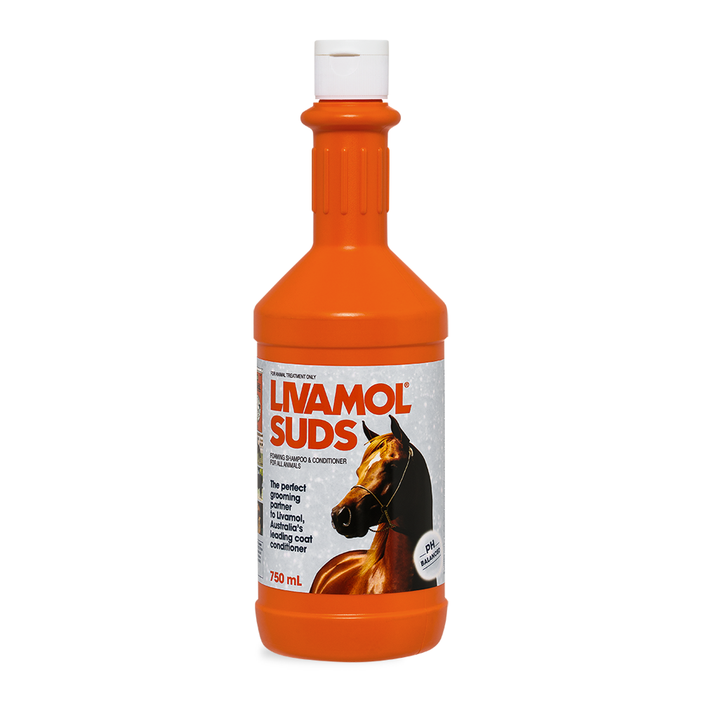 Livamol Suds Shampoo &amp; Conditioner 750ml