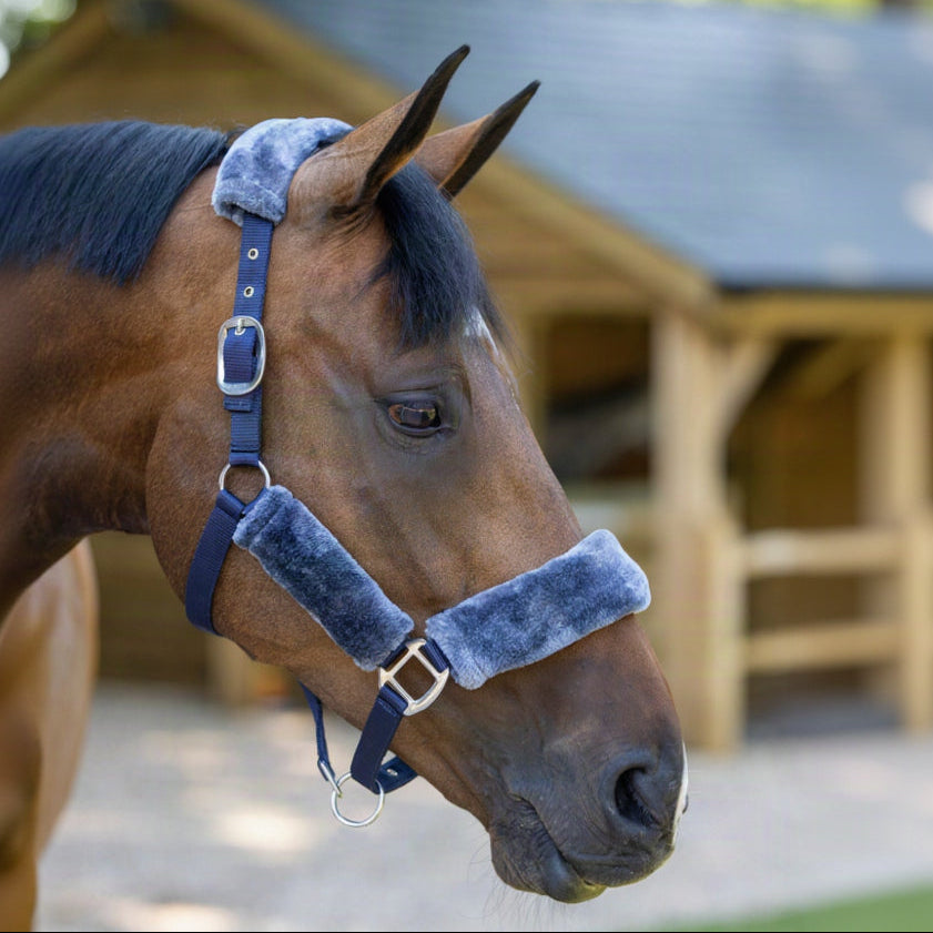 LeMieux Comfort Headcollar Navy lifestyle