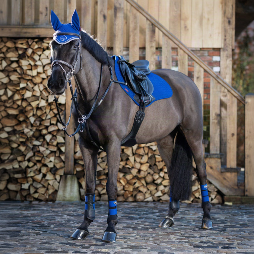 LeMieux Grafter Brushing Boot Benetton Blue lifestyle