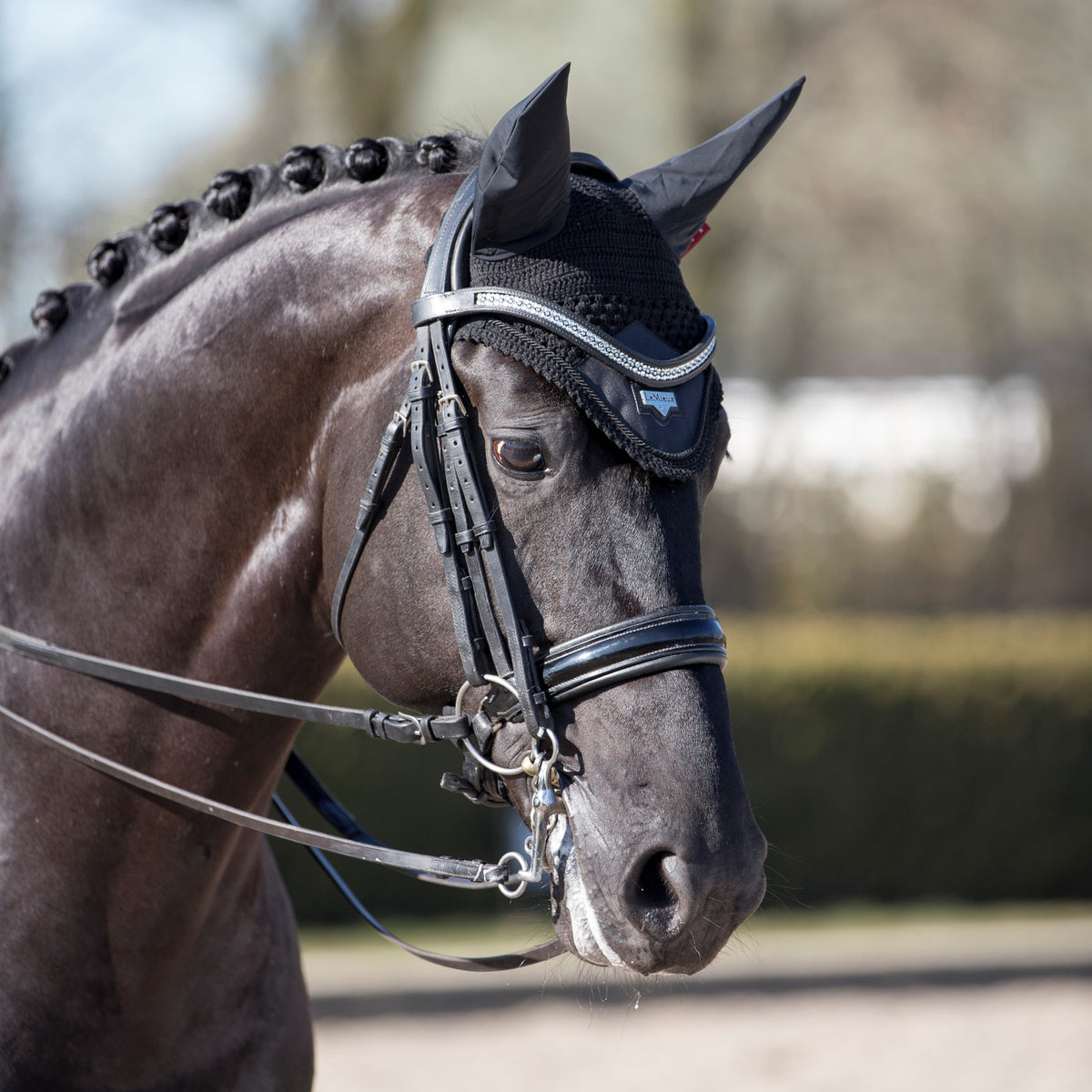 LeMieux Loire Fly Hood Black lifestyle