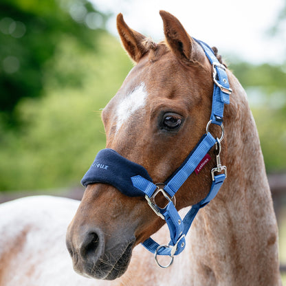 LeMieux Vogue Headcollar &amp; Leadrope Benetton Blue lifestyle