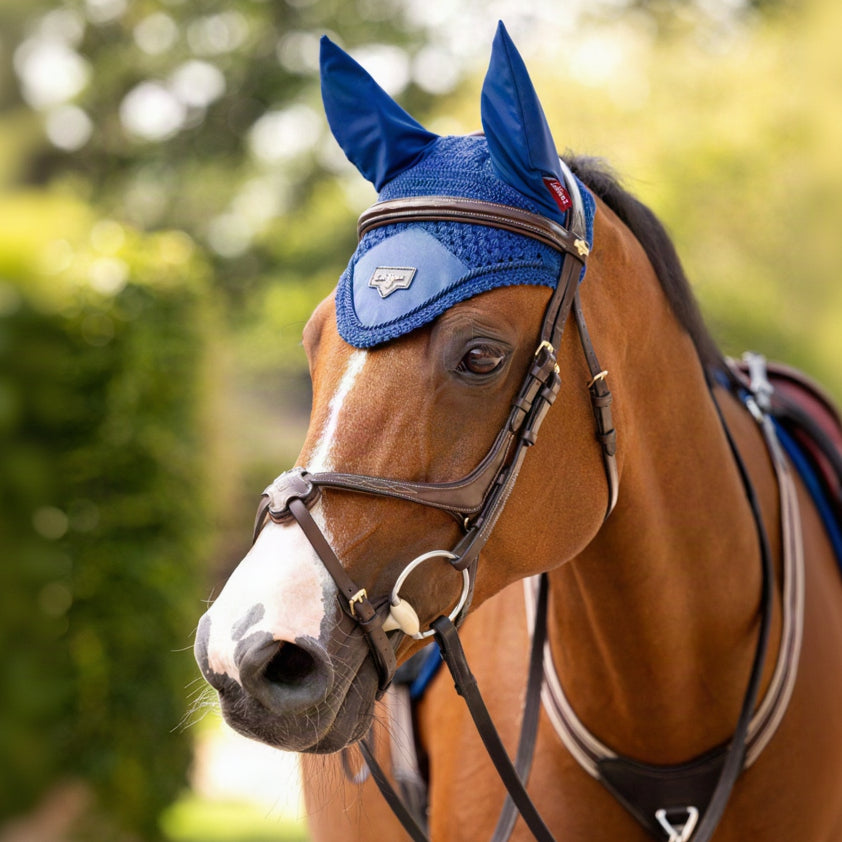 LeMieux Loire Fly Hood Benetton Blue lifestyle