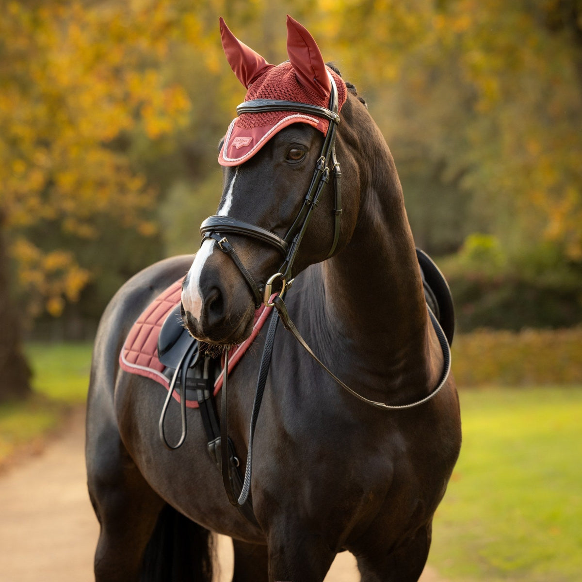 LeMieux Loire Fly Hood Russet lifestyle