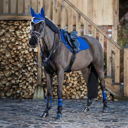 LeMieux Classic Fly Hood Benetton Blue lifestyle
