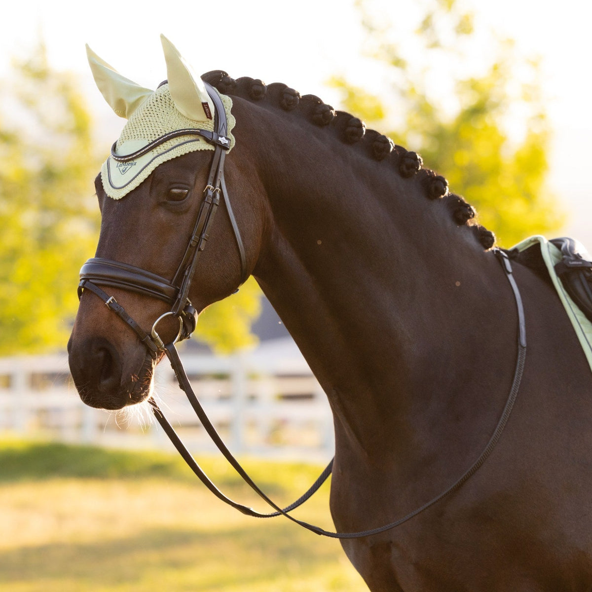 LeMieux Classic Fly Hood Macaron lifestyle