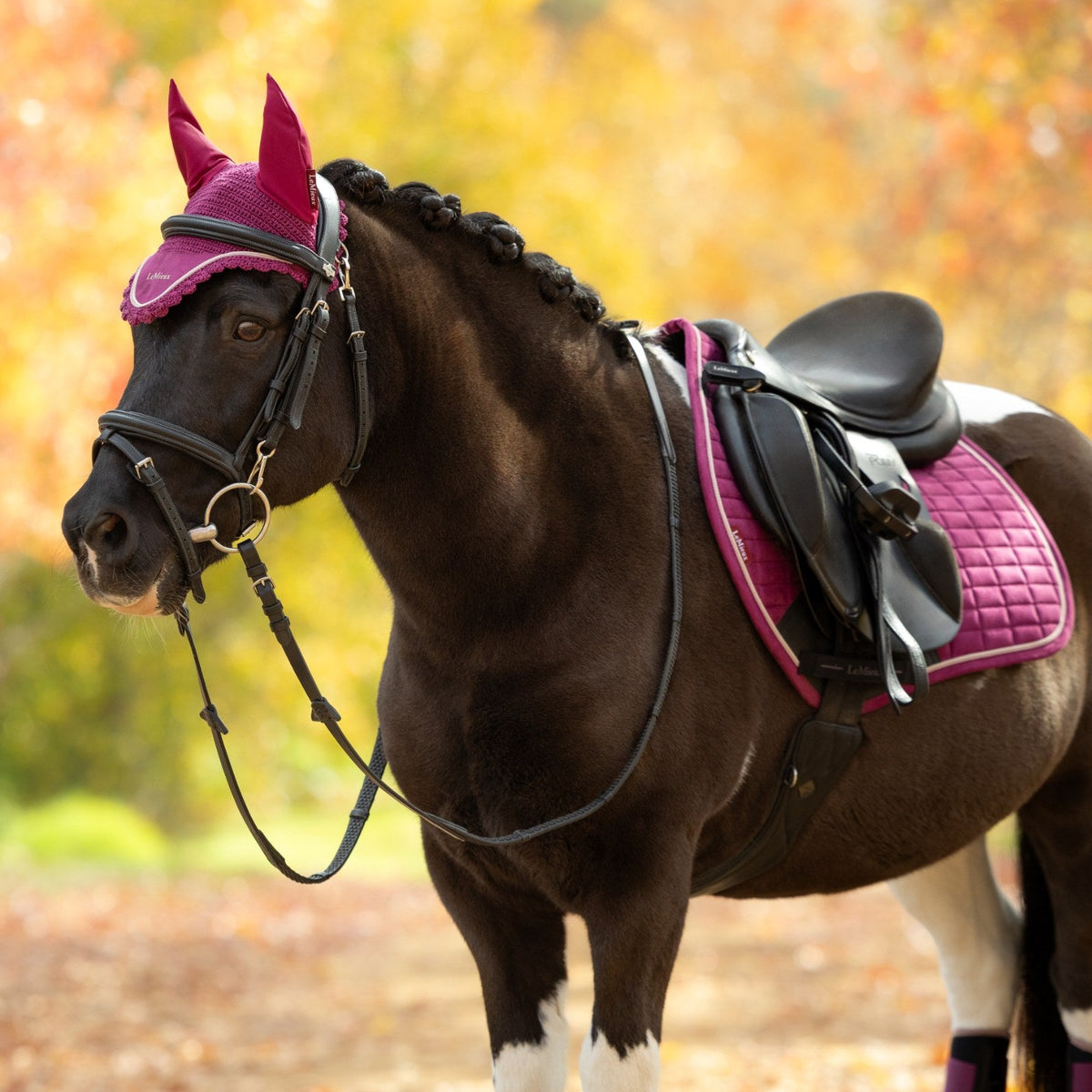 LeMieux Classic Fly Hood Blackberry lifestyle