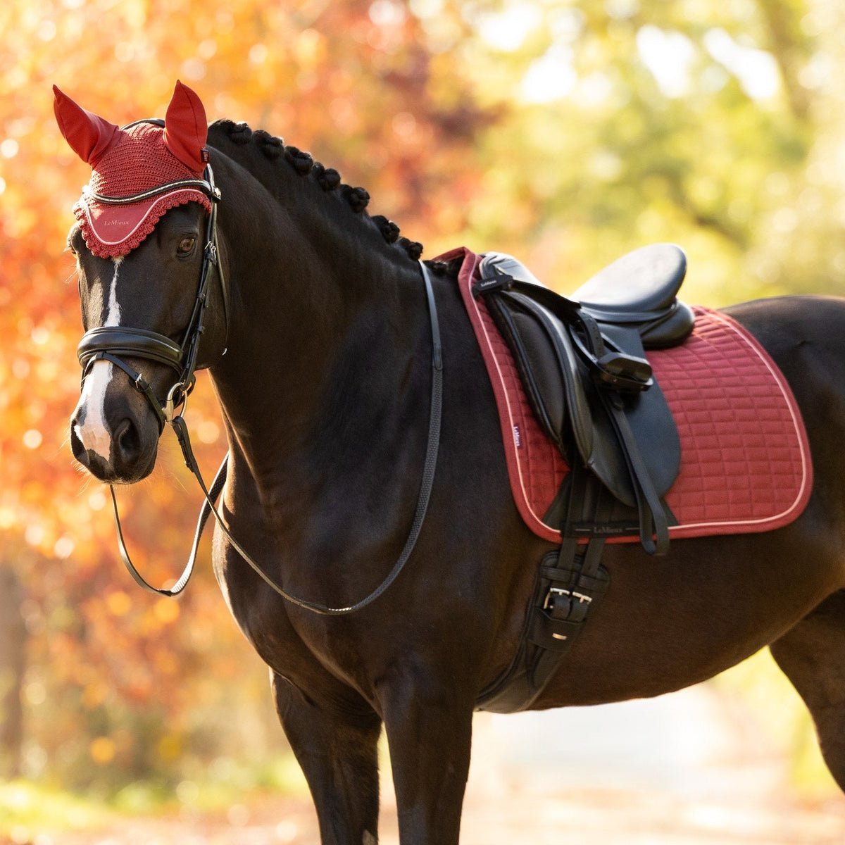 LeMieux Classic Fly Hood Russet lifestyle