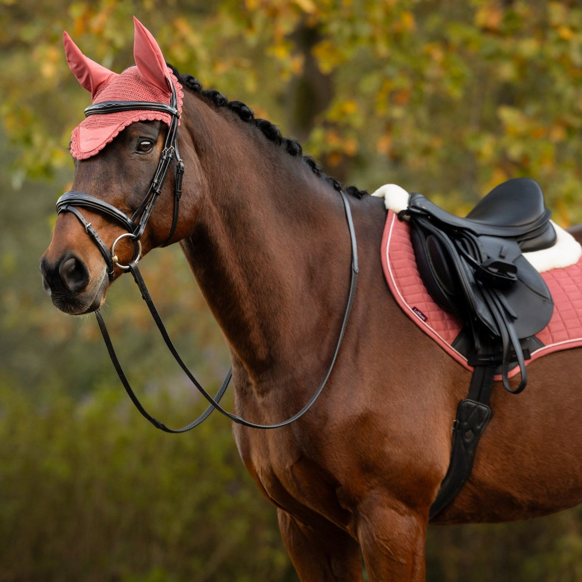 LeMieux Classic Fly Hood Spiced Earth lifestyle
