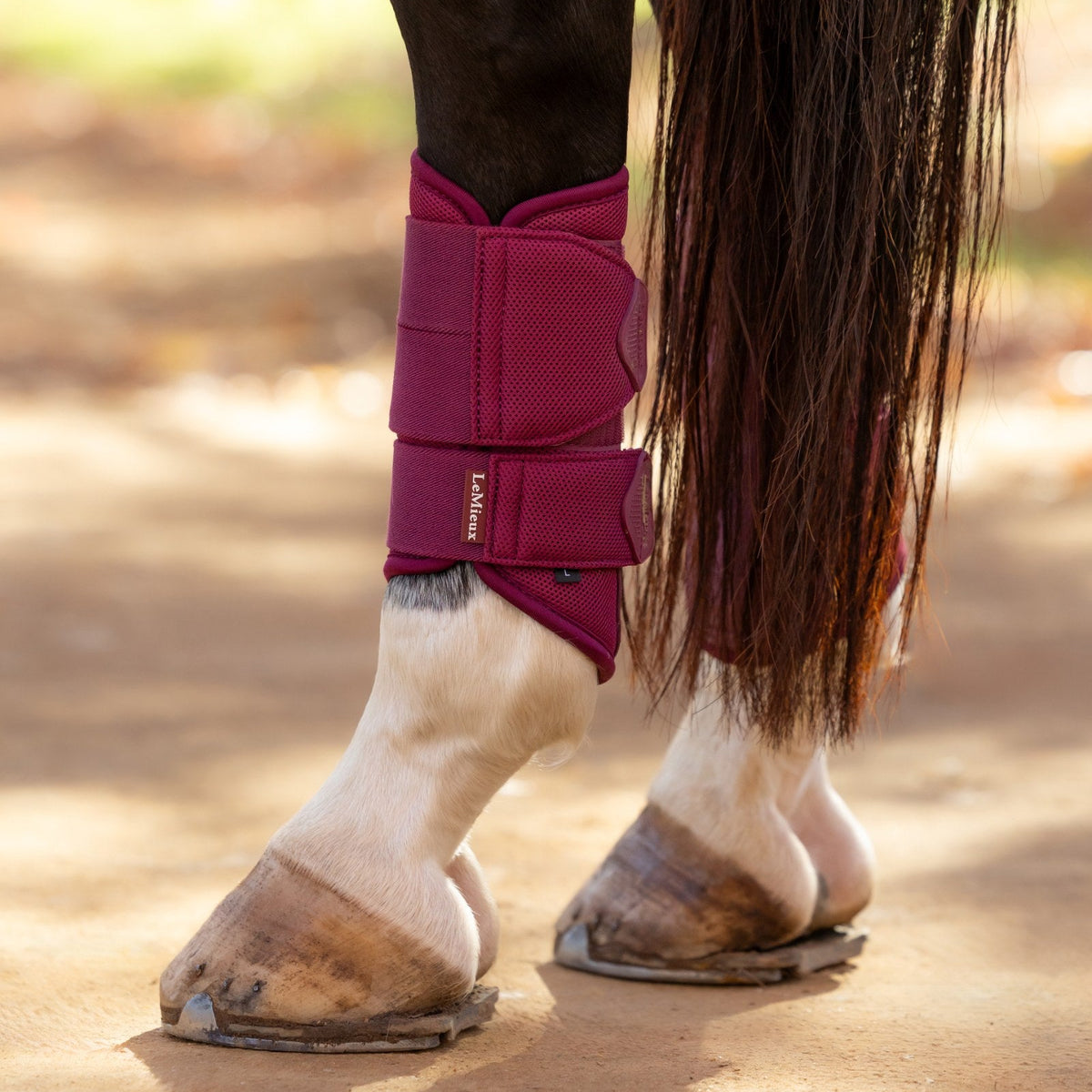 LeMieux Arika Mesh Brushing Boots Blackberry lifestyle