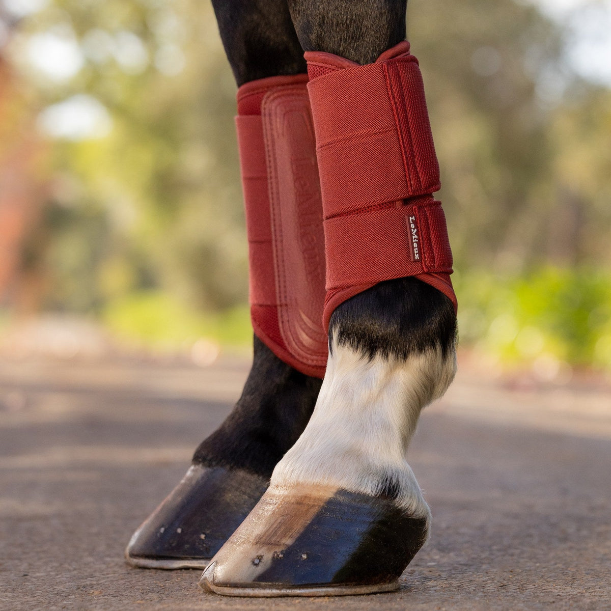 LeMieux Arika Mesh Brushing Boots Russet lifestyle