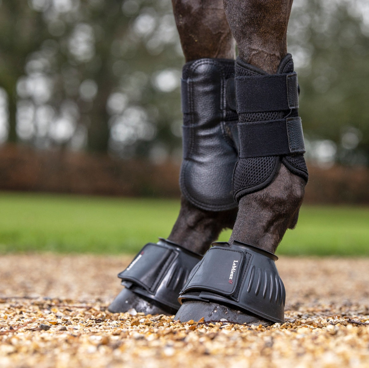 LeMieux Rubber Bell Boots Black lifestyle