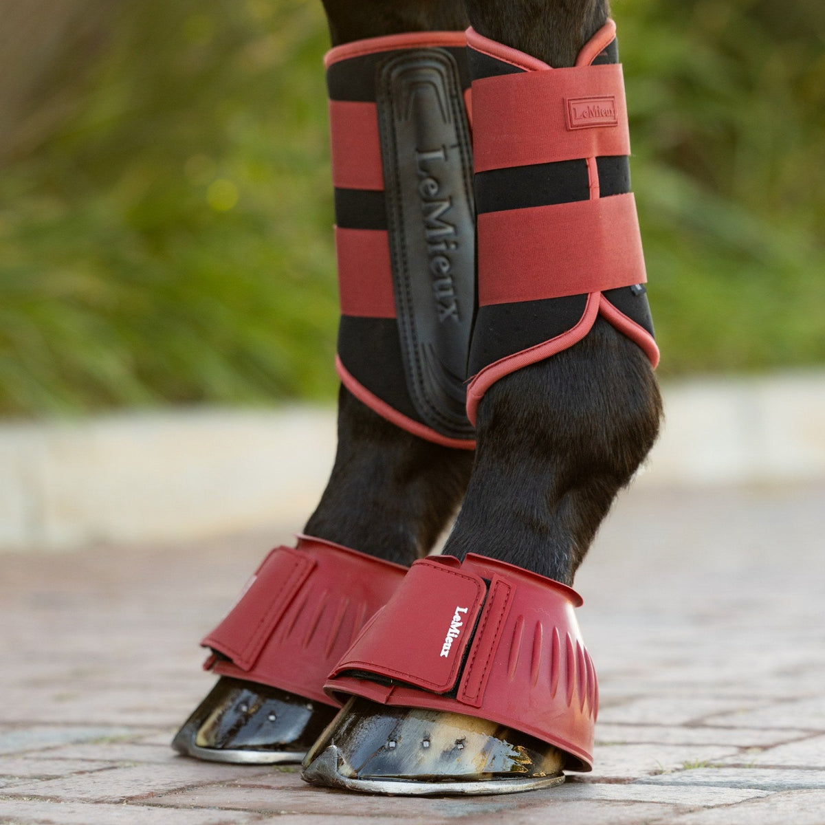 LeMieux Rubber Bell Boots Russet lifestyle