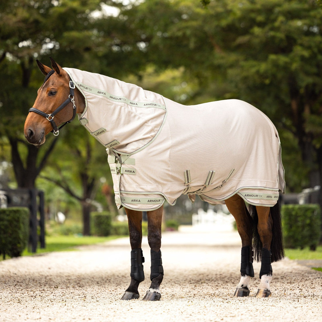 LeMieux Arika Armour-Tek Fly Rug Stone lifestyle