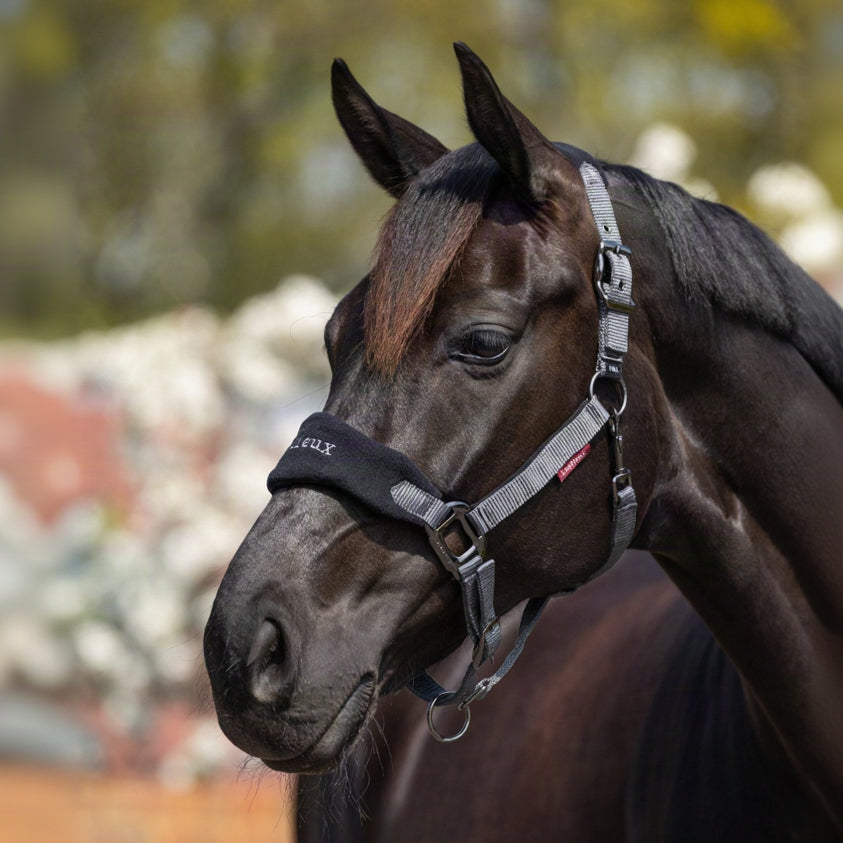 LeMieux Vogue Headcollar &amp; Leadrope Black lifestyle