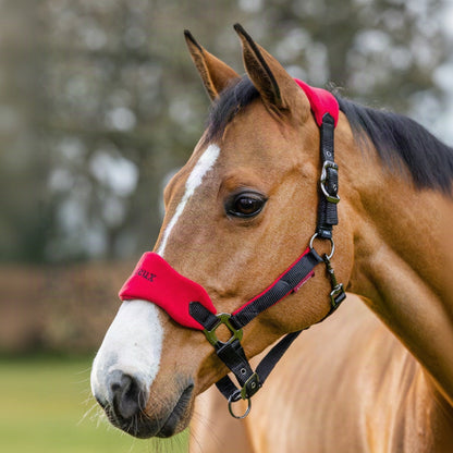 LeMieux Vogue Headcollar &amp; Leadrope Chilli lifestyle