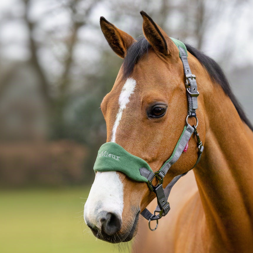 LeMieux Vogue Headcollar &amp; Leadrope Hunter Green lifestyle