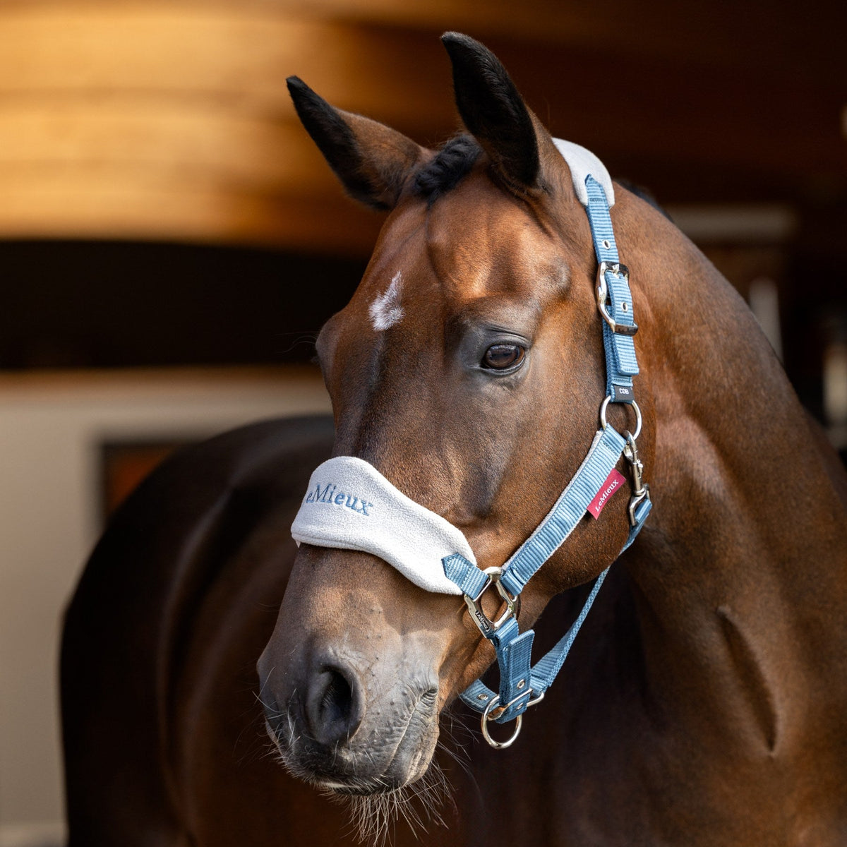 LeMieux Vogue Headcollar &amp; Leadrope Ice Blue lifestyle